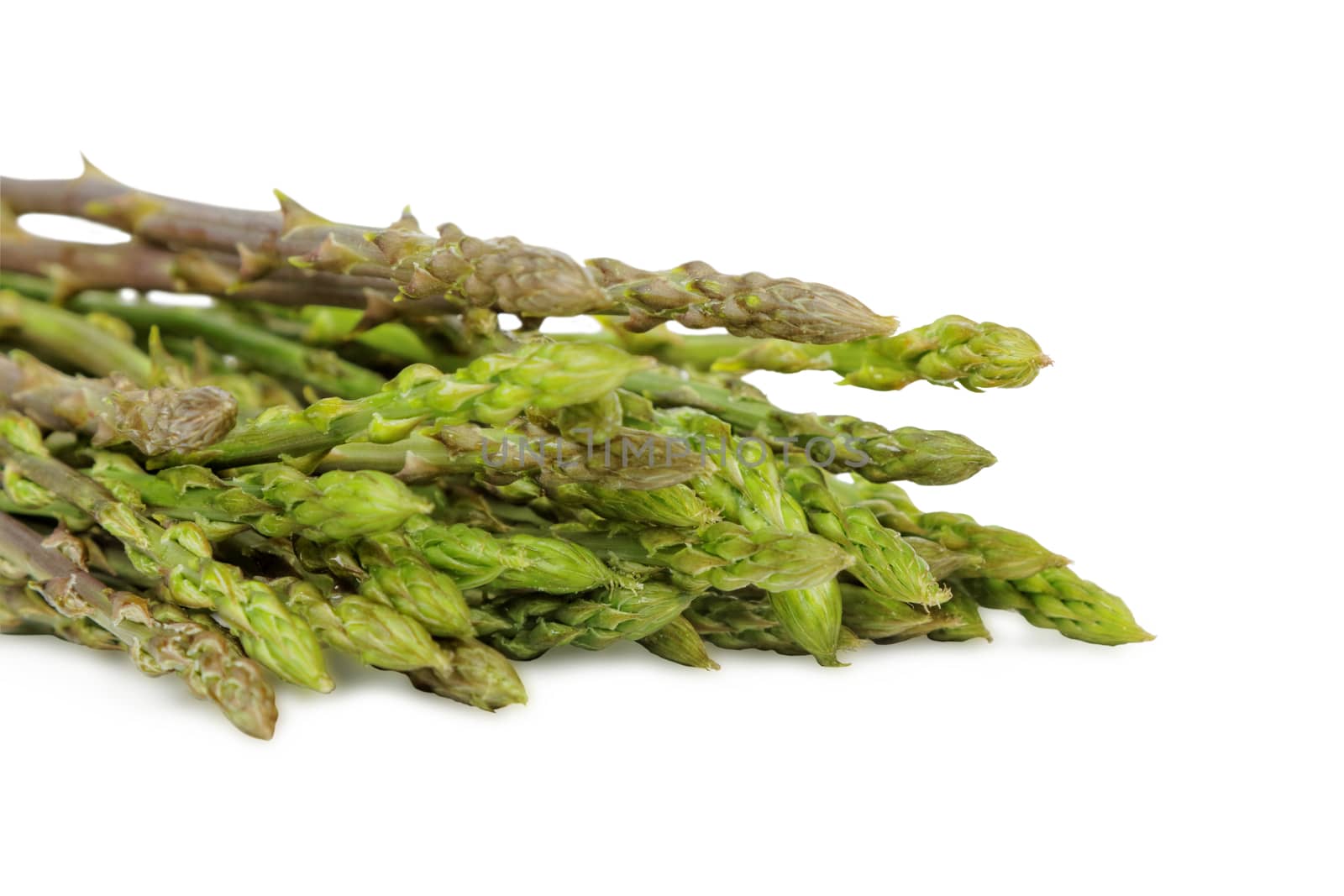 a bunch of wild asparagus isolated on white background, studio shot