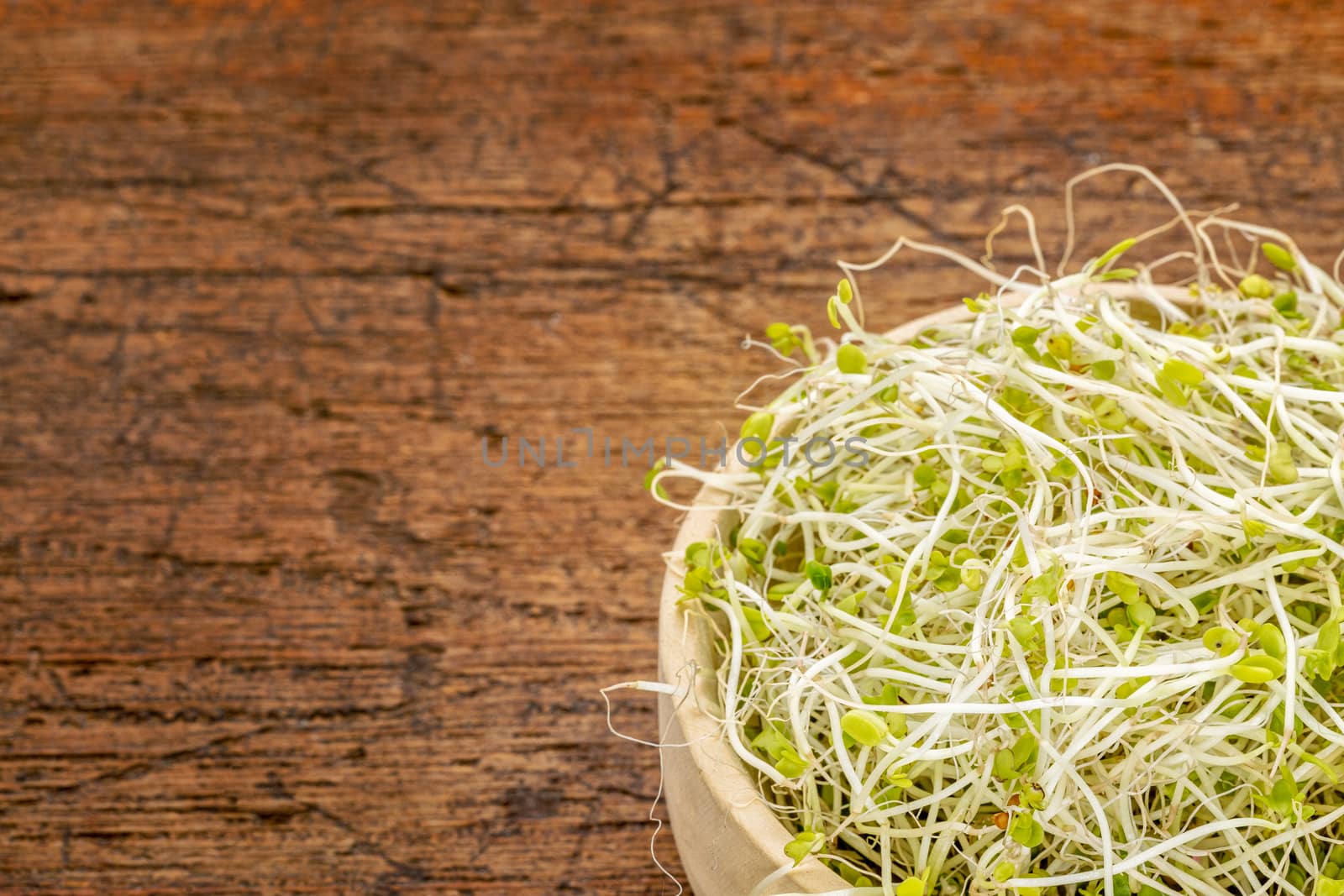 broccoli and clover sprouts in a wooden bowl against rustic scratched wood with a copy space