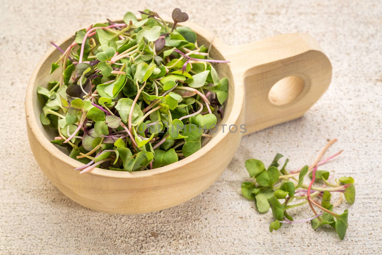 organic micro greens (kale, mustard, pea, herbs) on a  primitive wooden scoop against grunge bran wood