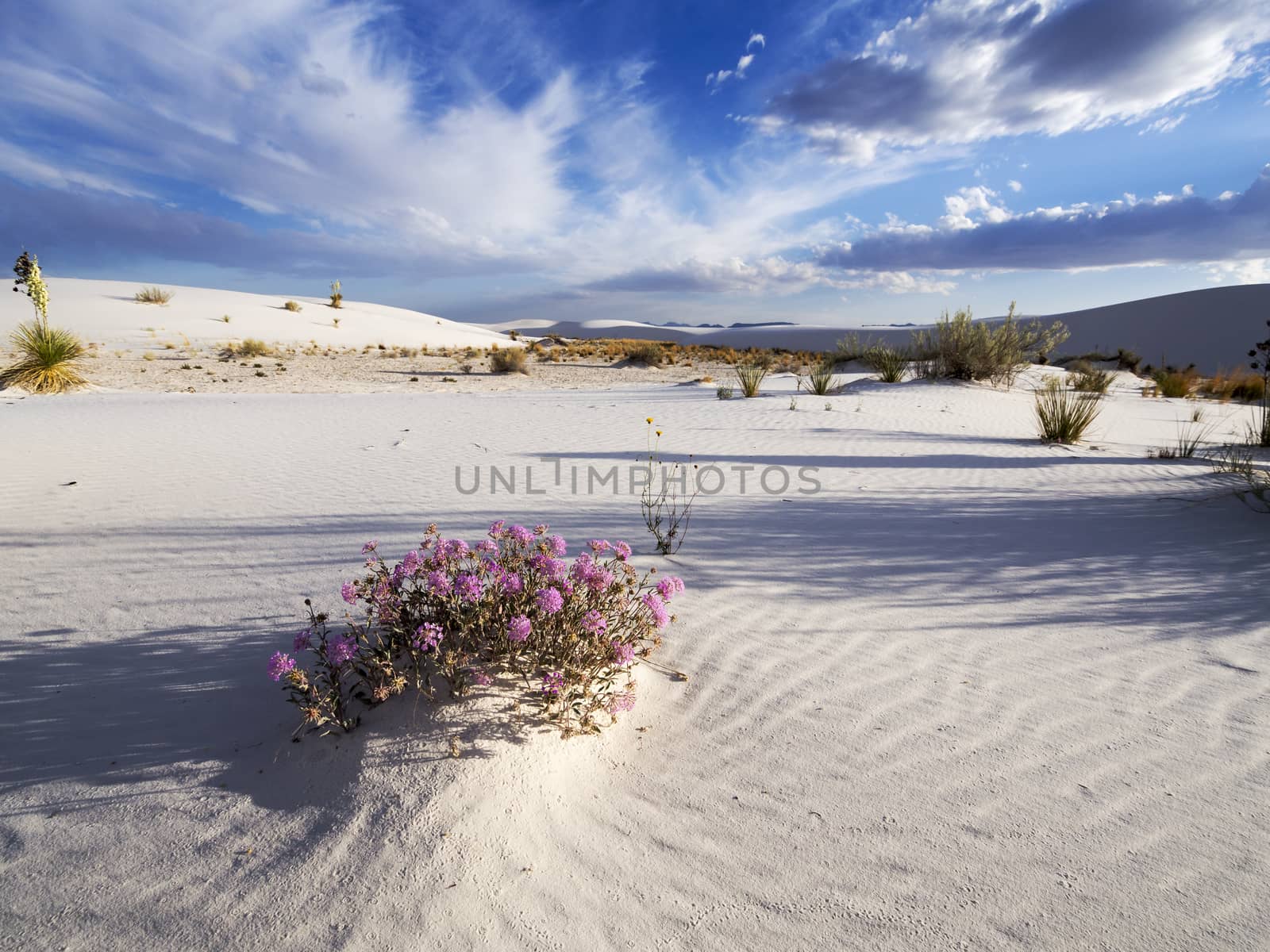 Desert Sky by leieng