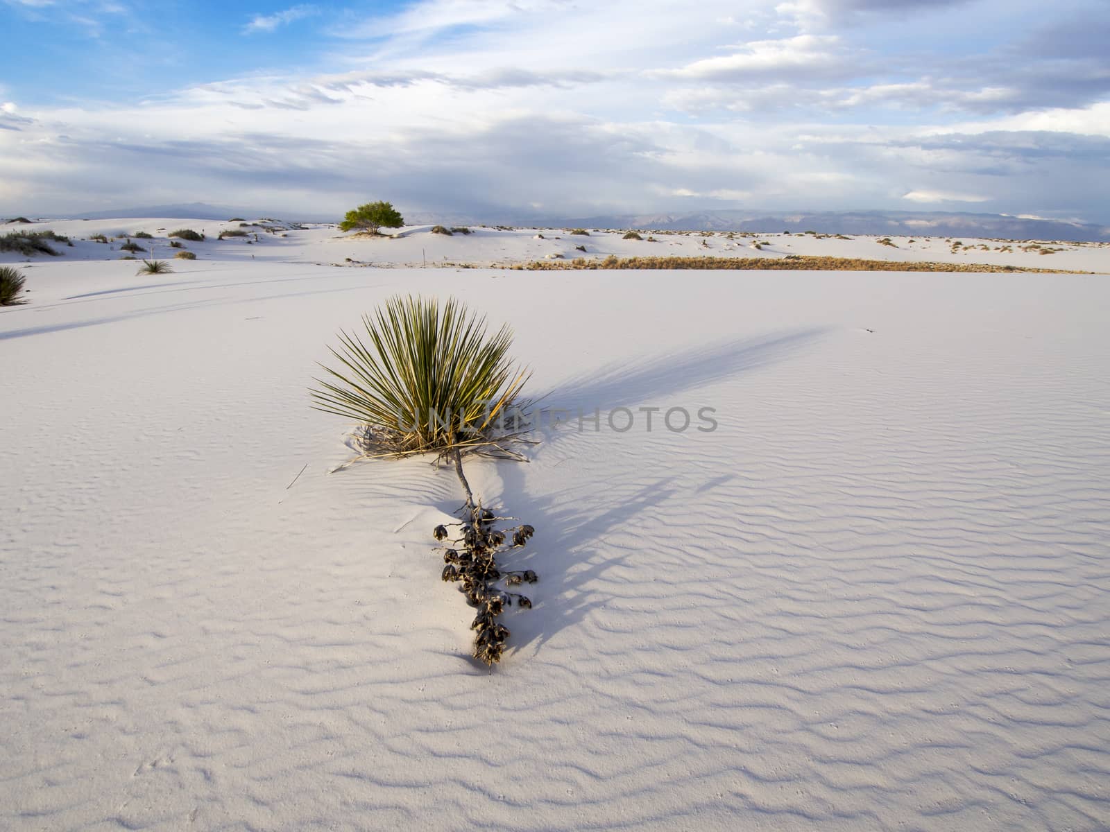 White Sands National Monument, NM