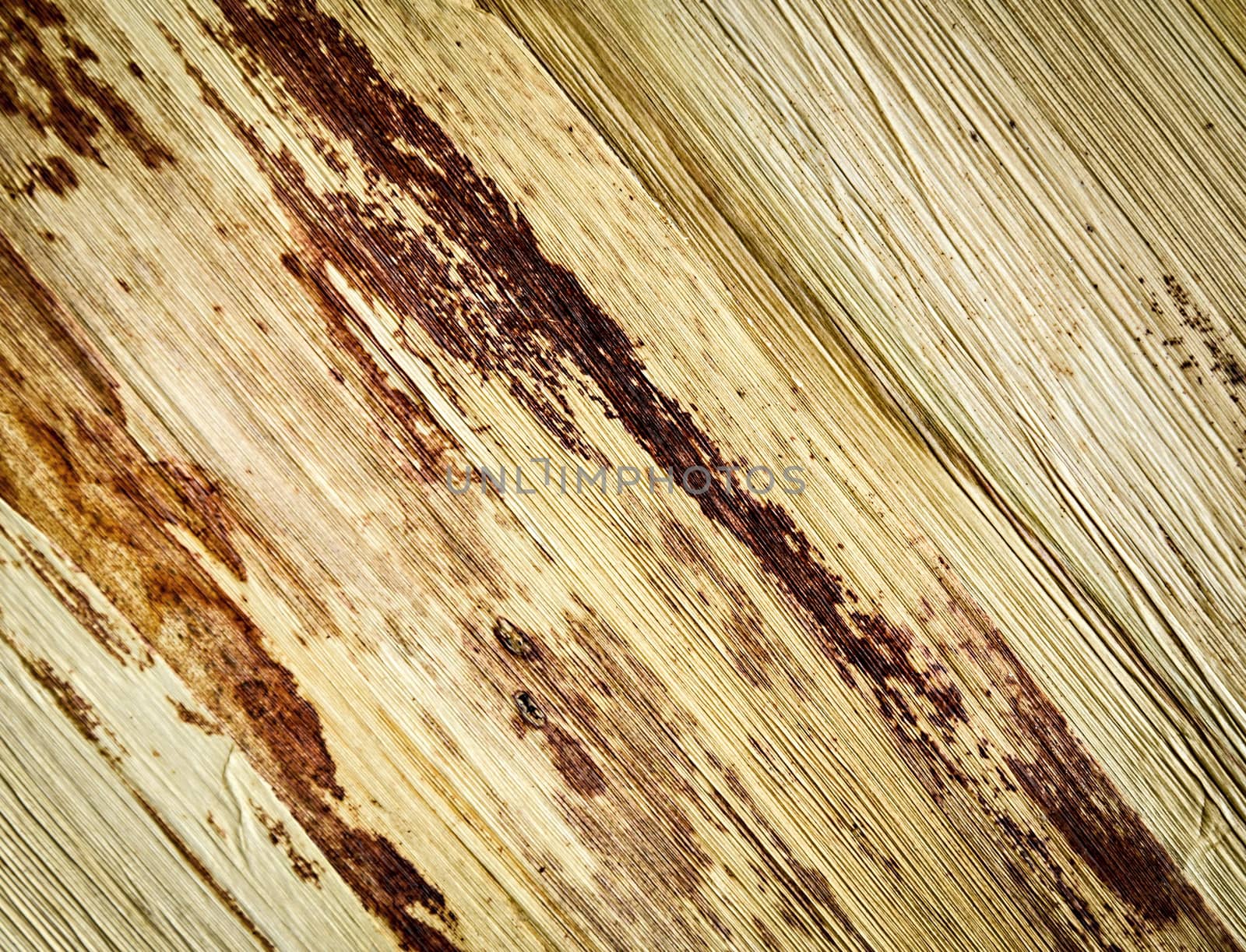 abstract background or texture extruded corn husk