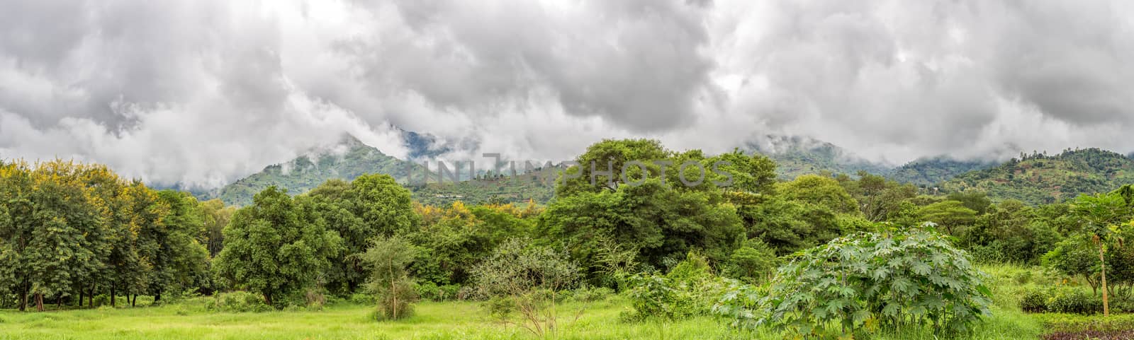 Moving clouds covering the Uluguru Mountains in the city of Morogoro, Eastern Region of Tanzania, Africa.