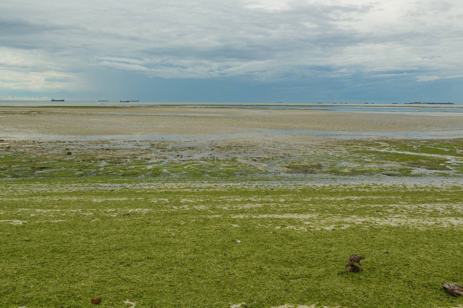 The beautiful shores of the business capital of Tanzania, Dar Es Salaam, along the Indian Ocean