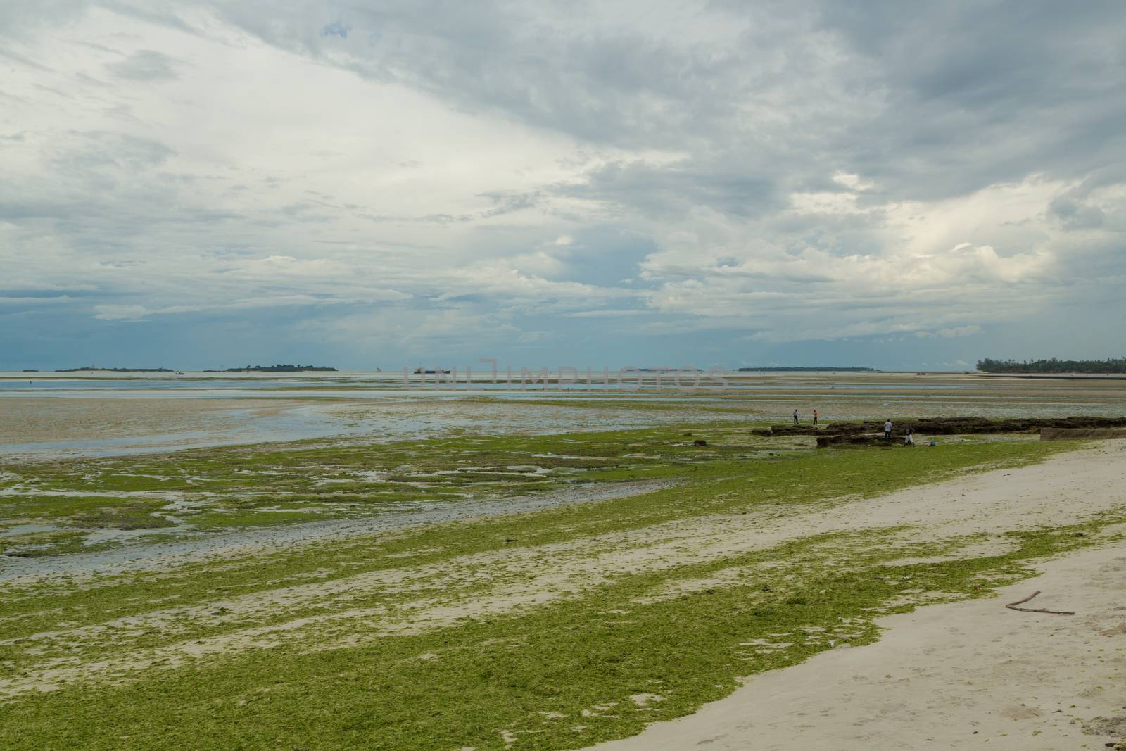 Shores of Dar Es Salaam by derejeb