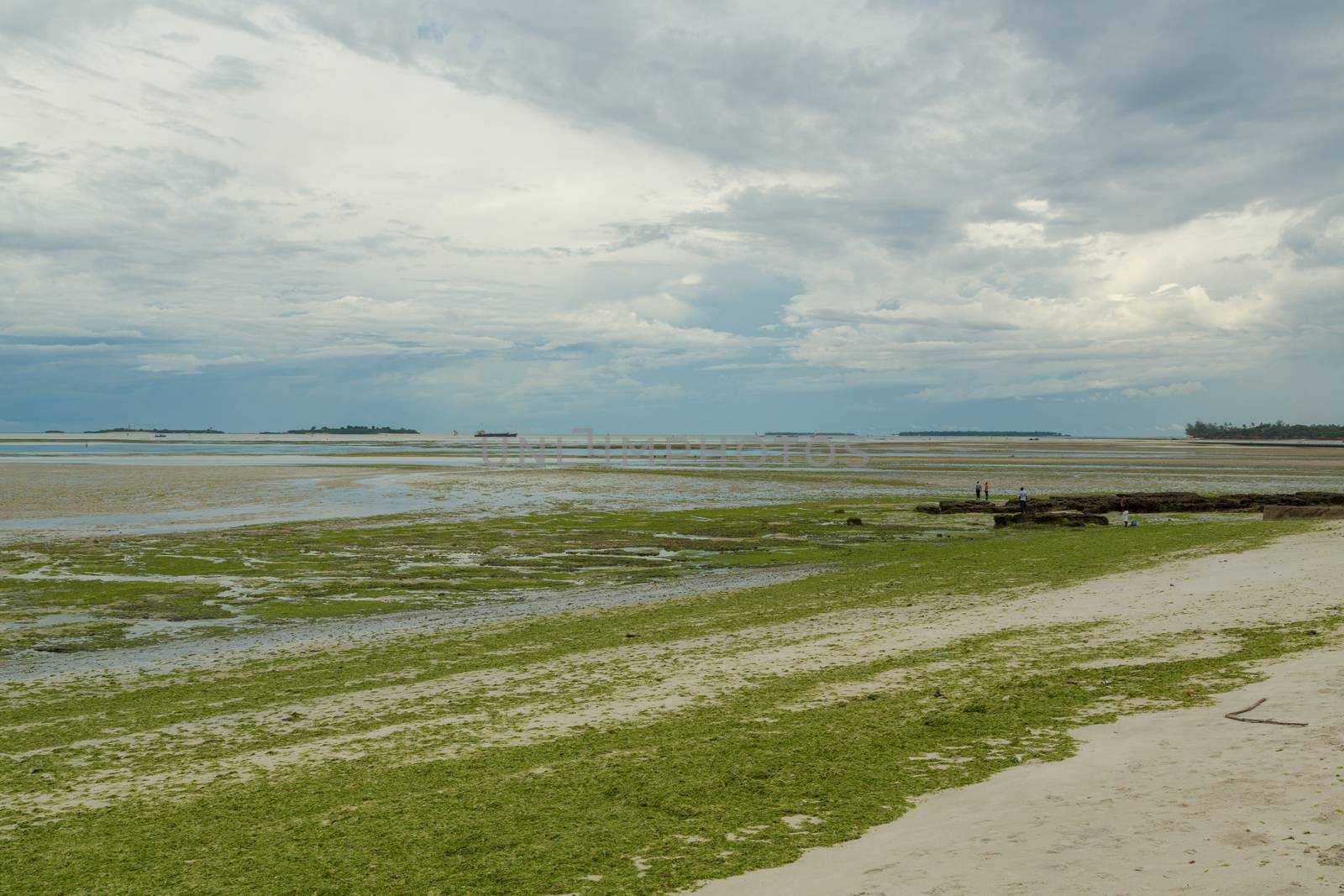 The beautiful shores of the business capital of Tanzania, Dar Es Salaam, along the Indian Ocean