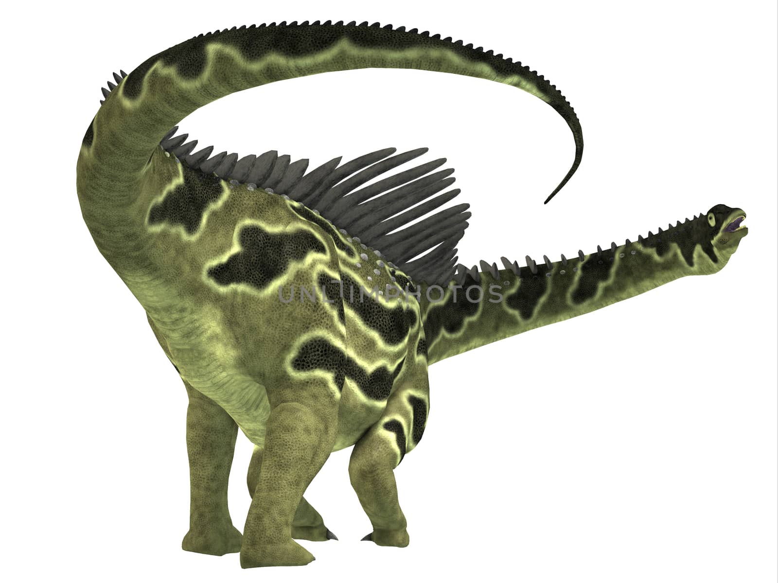 Agustinia Dinosaur Tail by Catmando