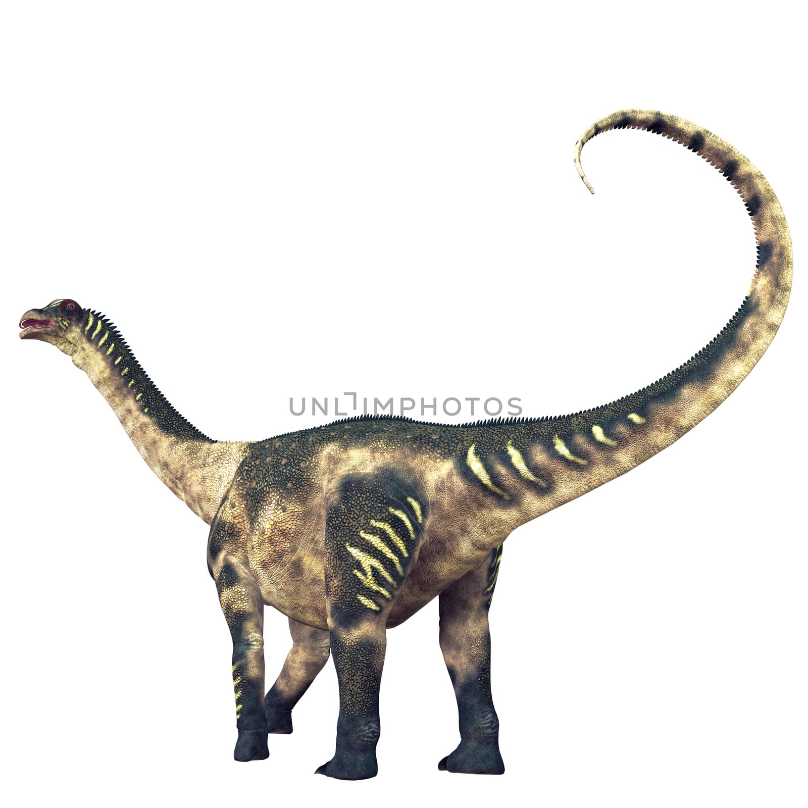 Antarctosaurus Dinosaur Tail by Catmando