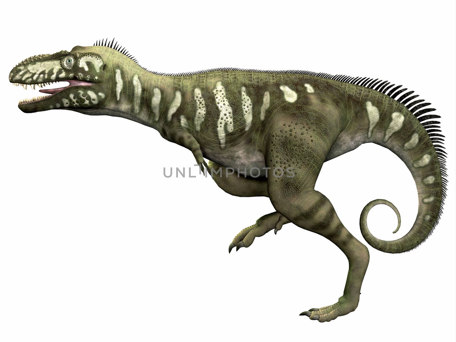 Bistahieversor was a carnivorous dinosaur that lived in the Cretaceous Period of New Mexico.