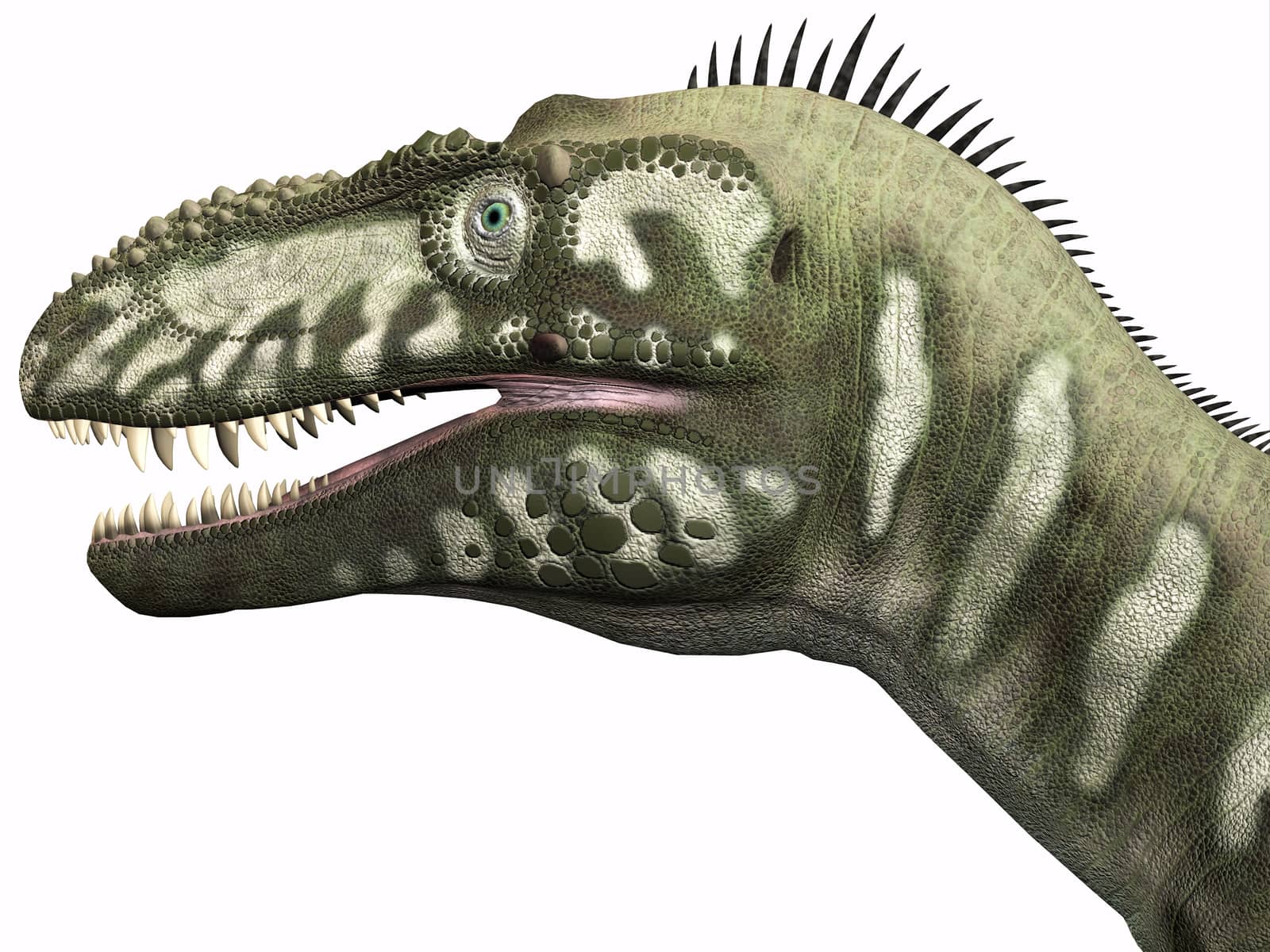 Bistahieversor Dinosaur Head by Catmando