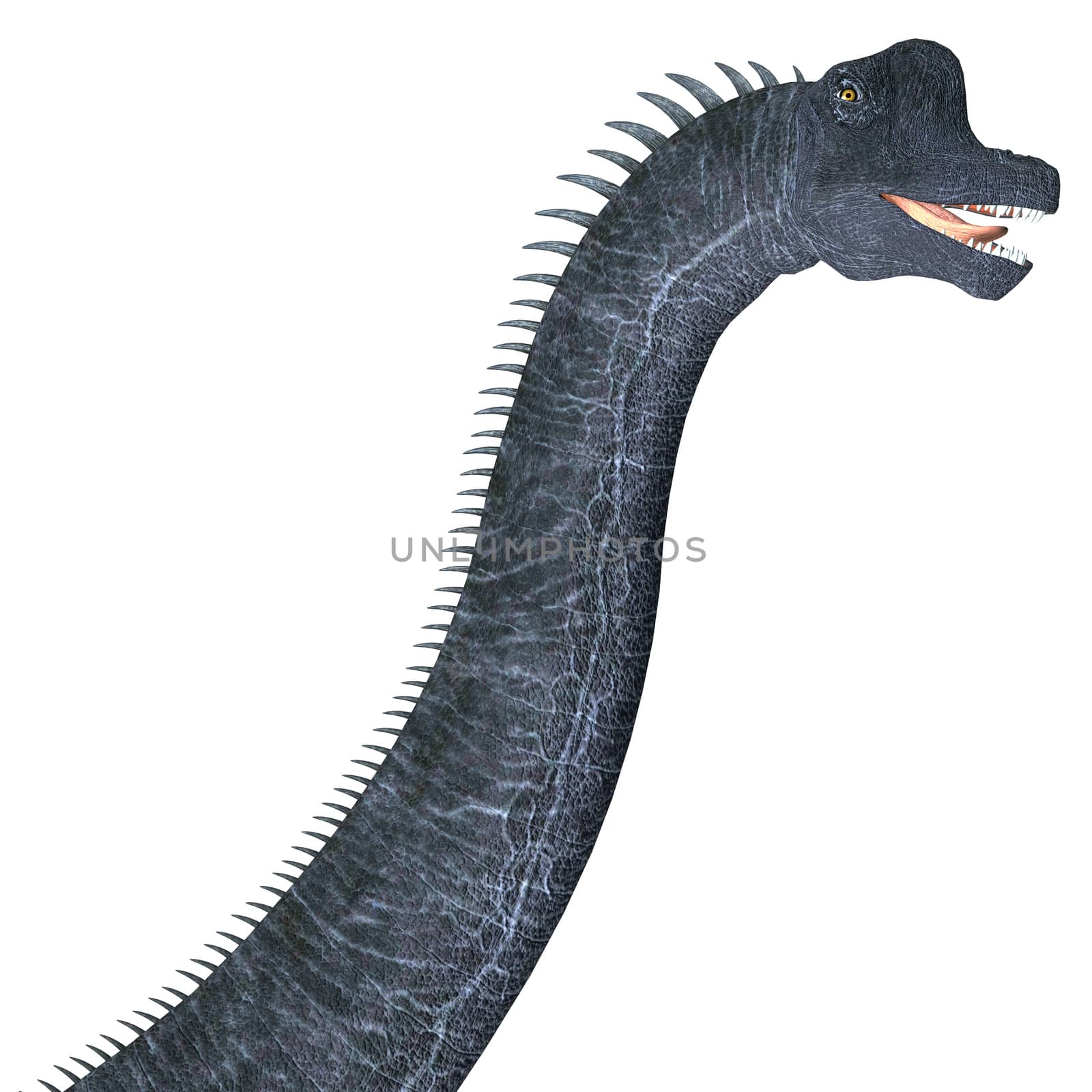 Brachiosaurus Dinosaur Head by Catmando