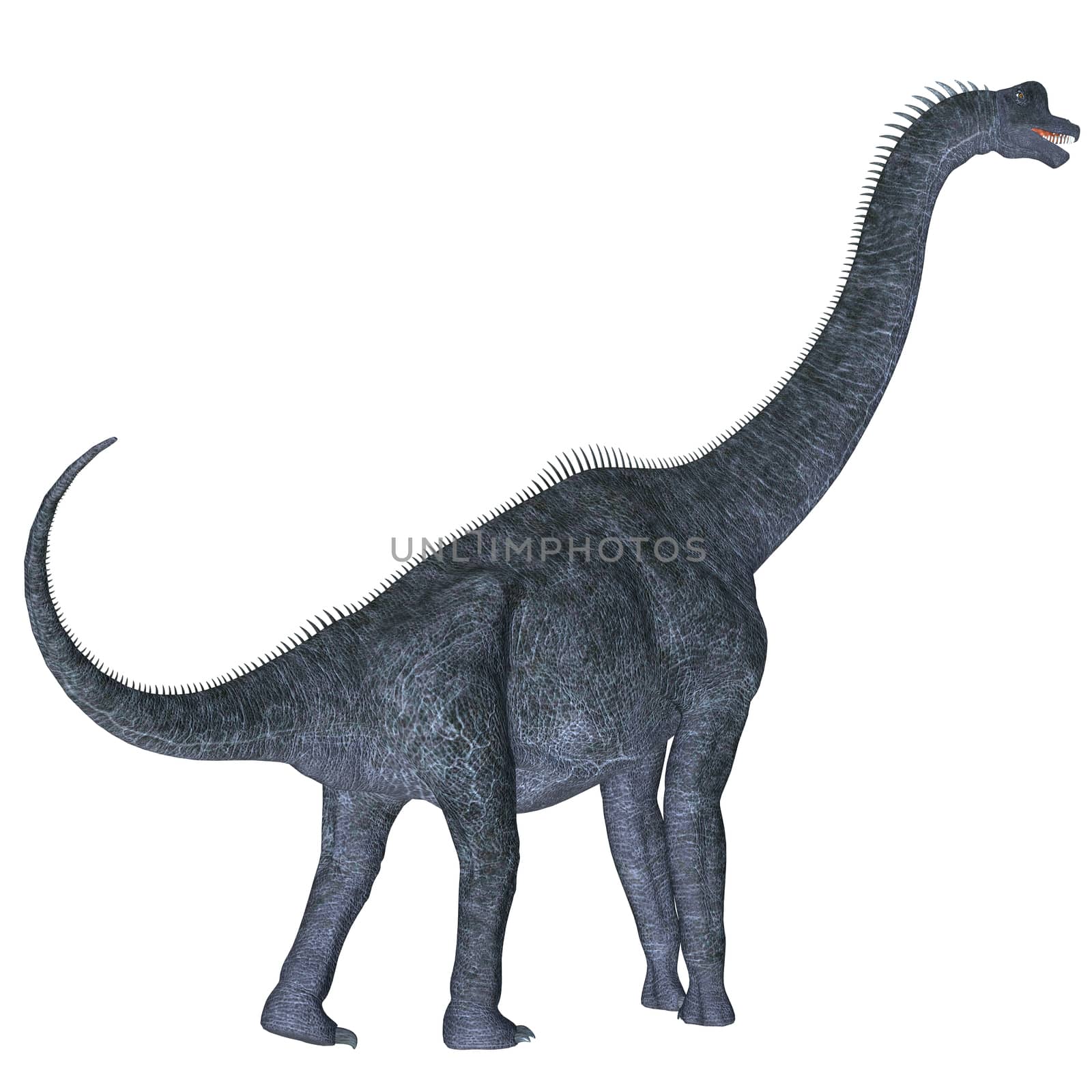 Brachiosaurus over White by Catmando