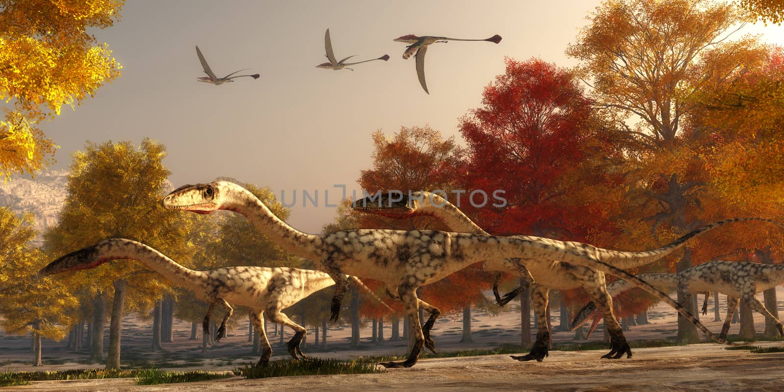 Three flying Eudimorphodons pass a group of Coelophysis hunting for prey through a forest of autumn trees in the Triassic Period.