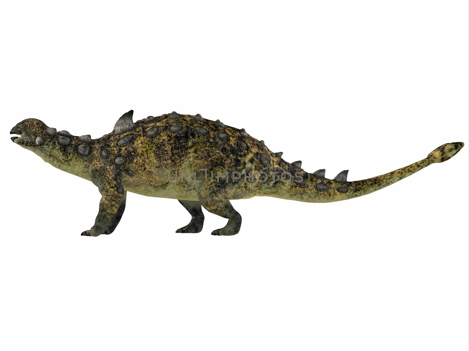 Euoplocephalus was a armored herbivorous dinosaur that lived in the Cretaceous Period of Canada. 
