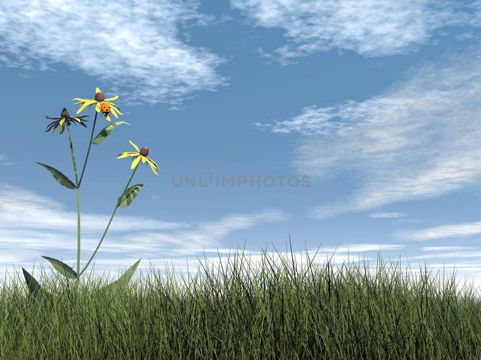 Ladybird on a flower in a meadow by day - 3D render