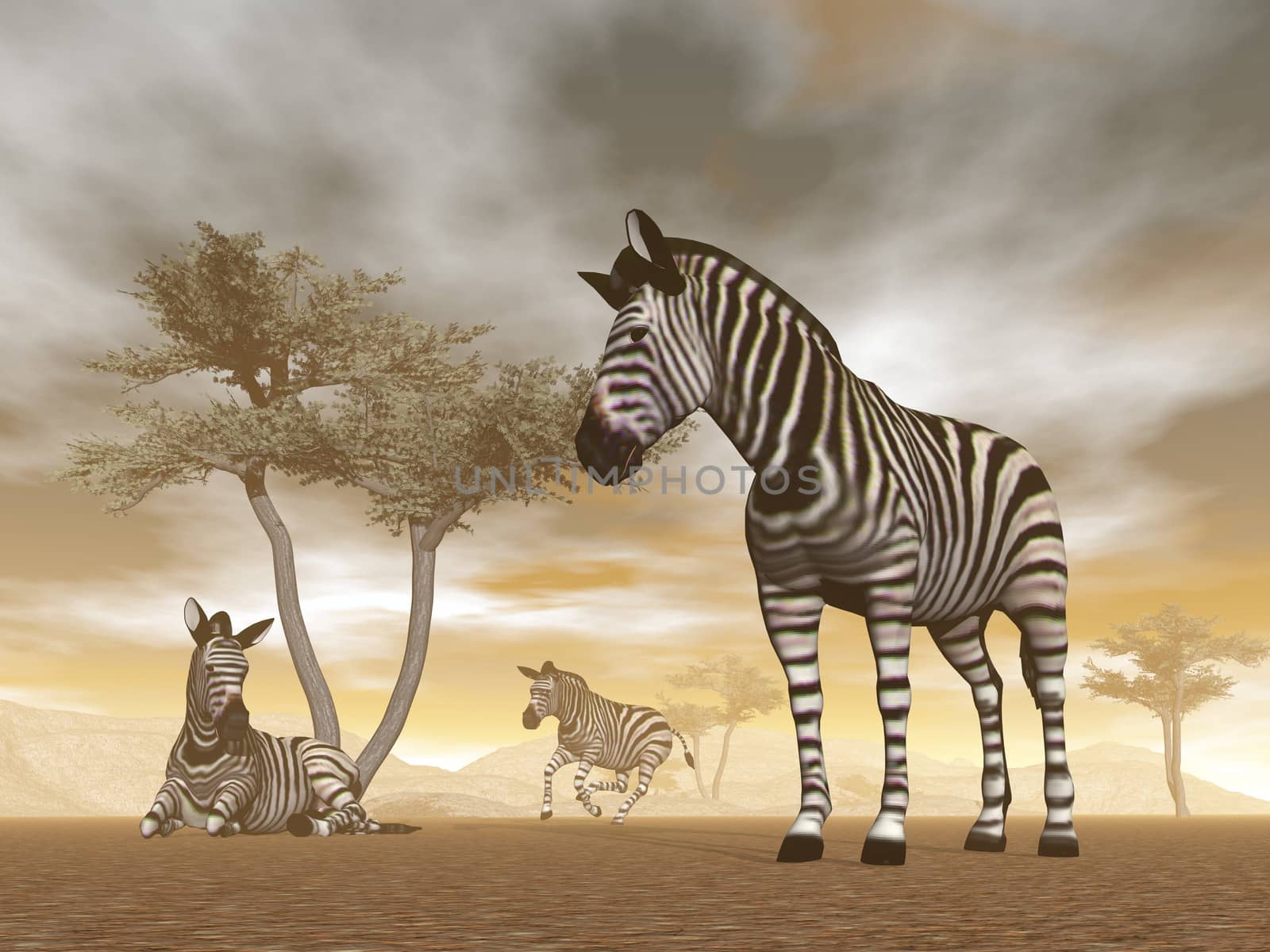 Zebra herd with baby and umbrella acacias in the savannah - 3D render