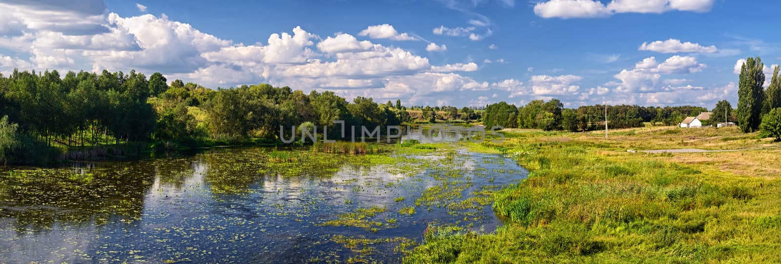 Rural landscape with river and water lilies and lots of shore grass