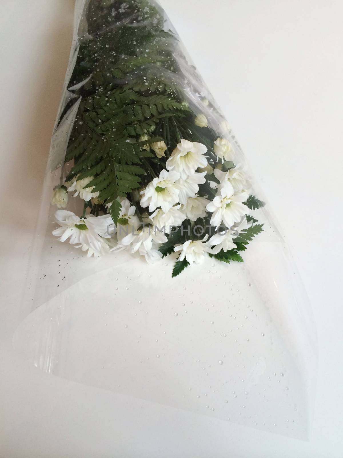 White Daisy Bouquet  by mmm