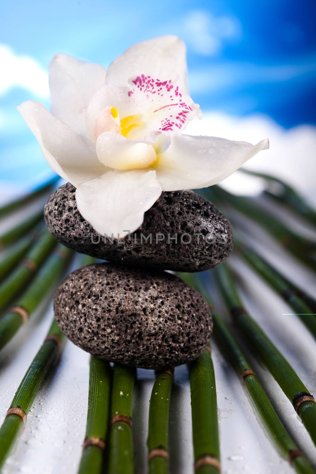 Stones and bamboo, zen, magical ambient atmosphere theme