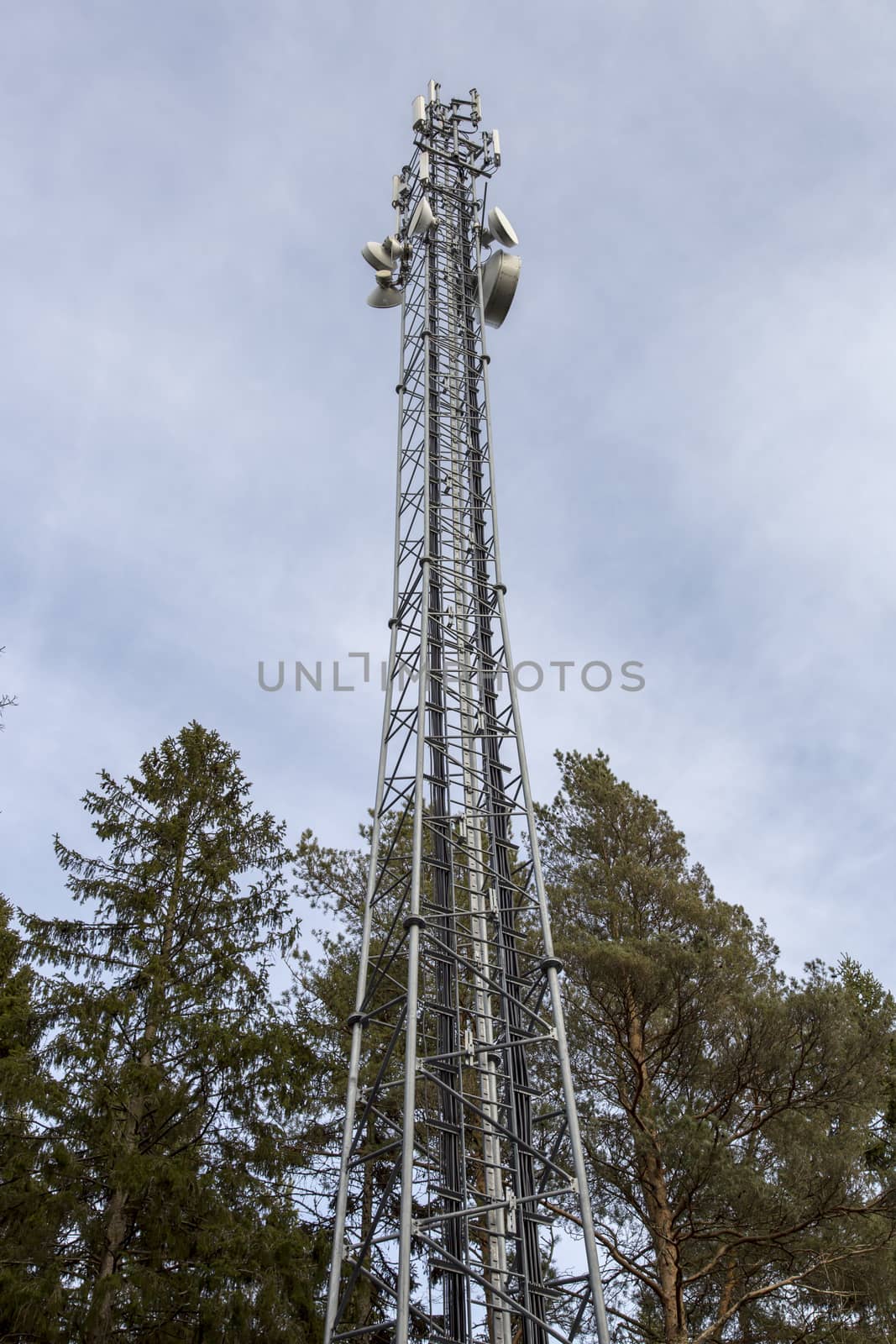 Cellphone Tower with Trees in Sweden