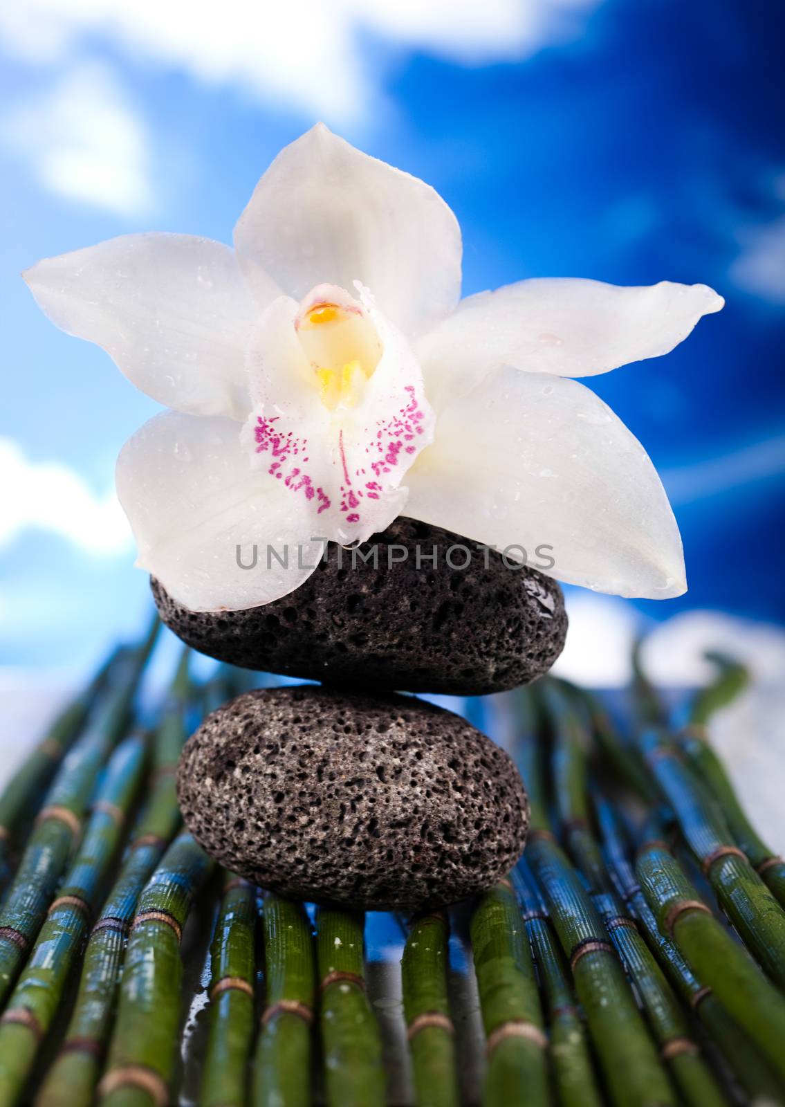 Balance, magical ambient atmosphere theme