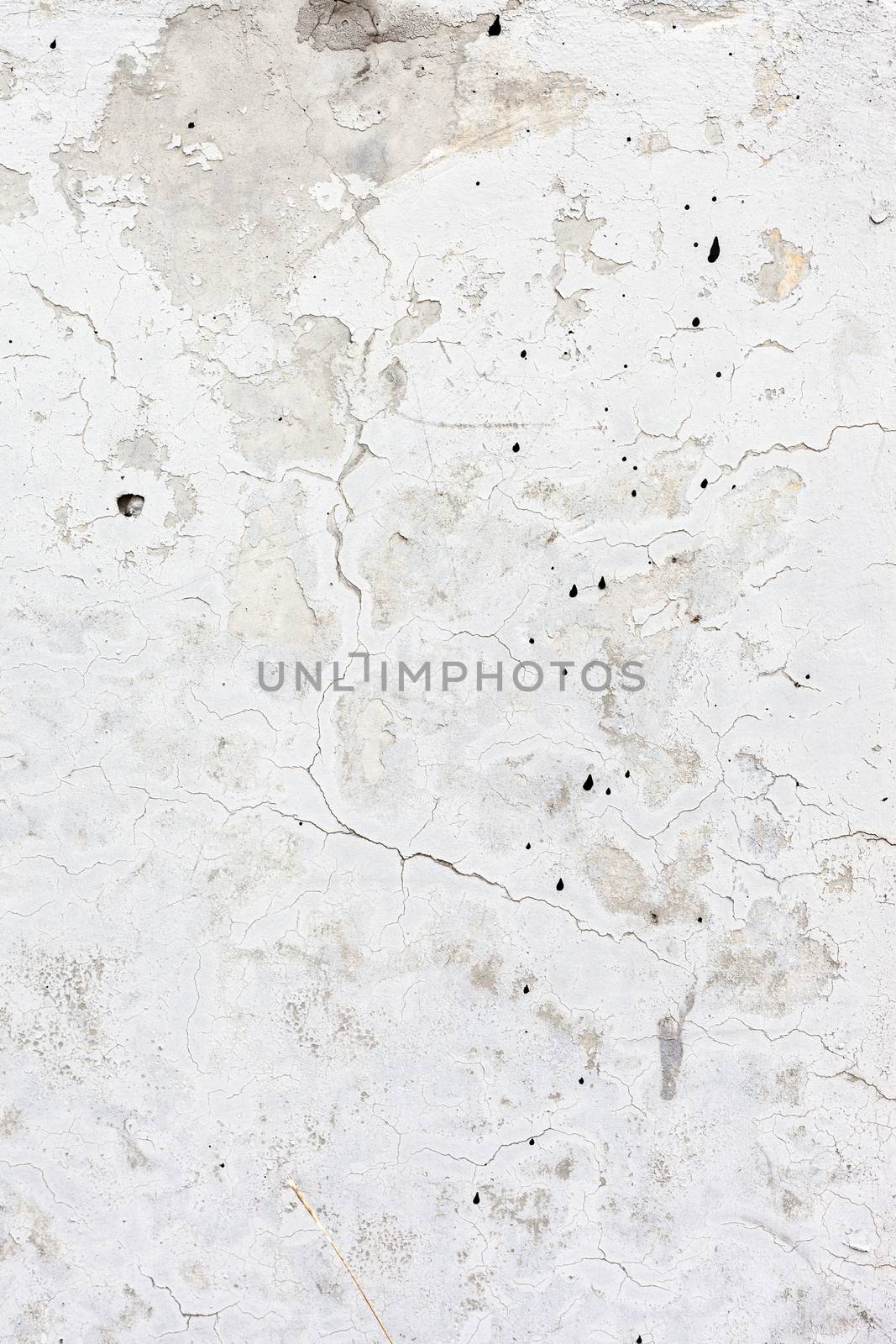 Grungy white concrete wall background by H2Oshka