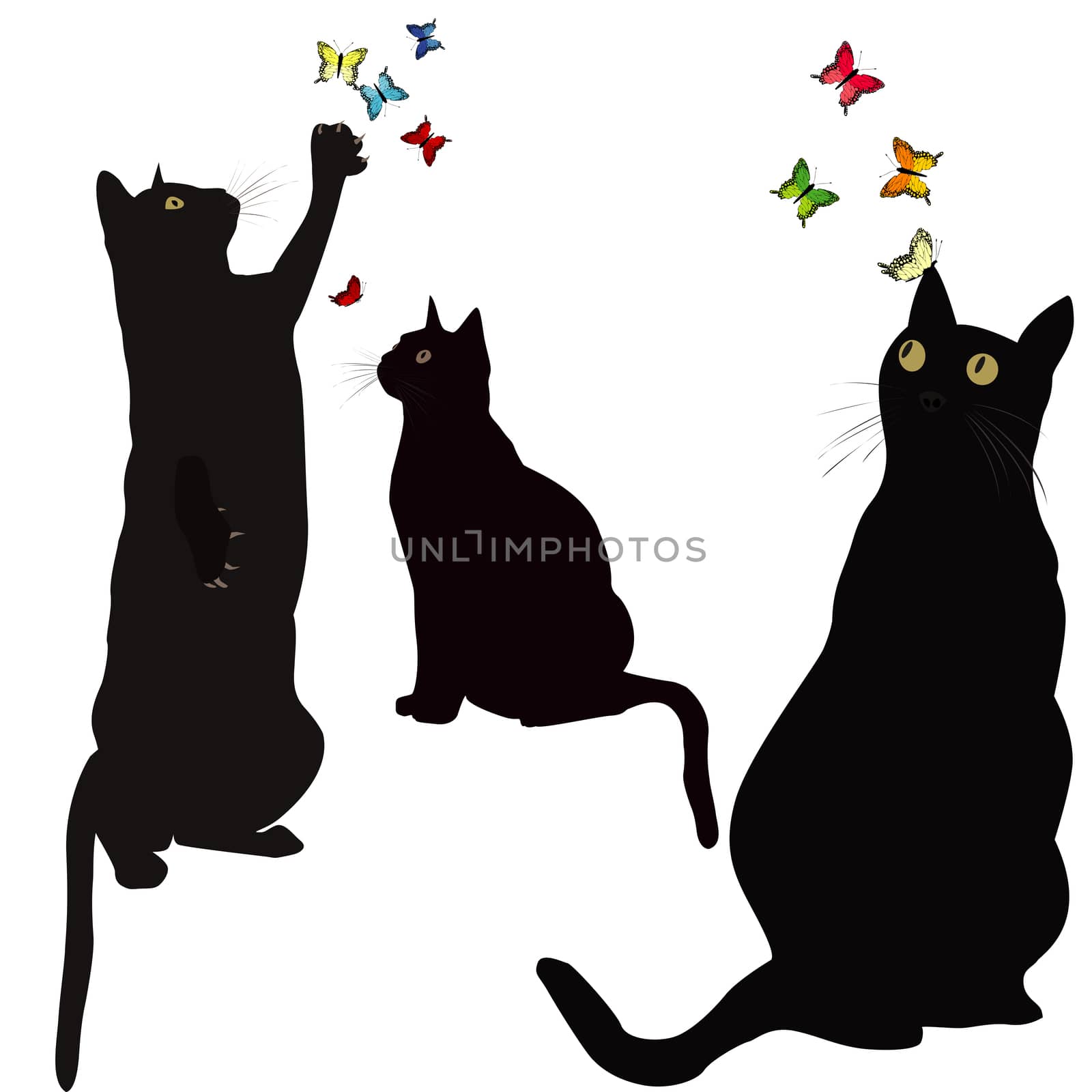 Black cats silhouettes and colorful butterlies