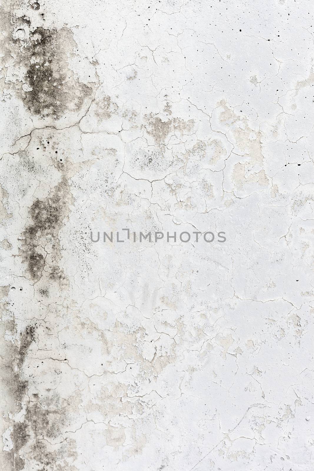 Grungy white concrete wall background by H2Oshka