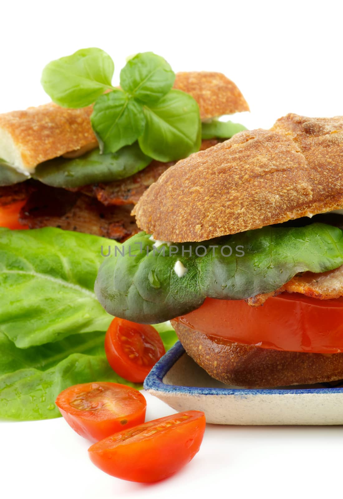 Delicious Ciabatta Sandwiches with Bacon, Tomato, Lettuce and Sauces with Ingredients closeup on white background