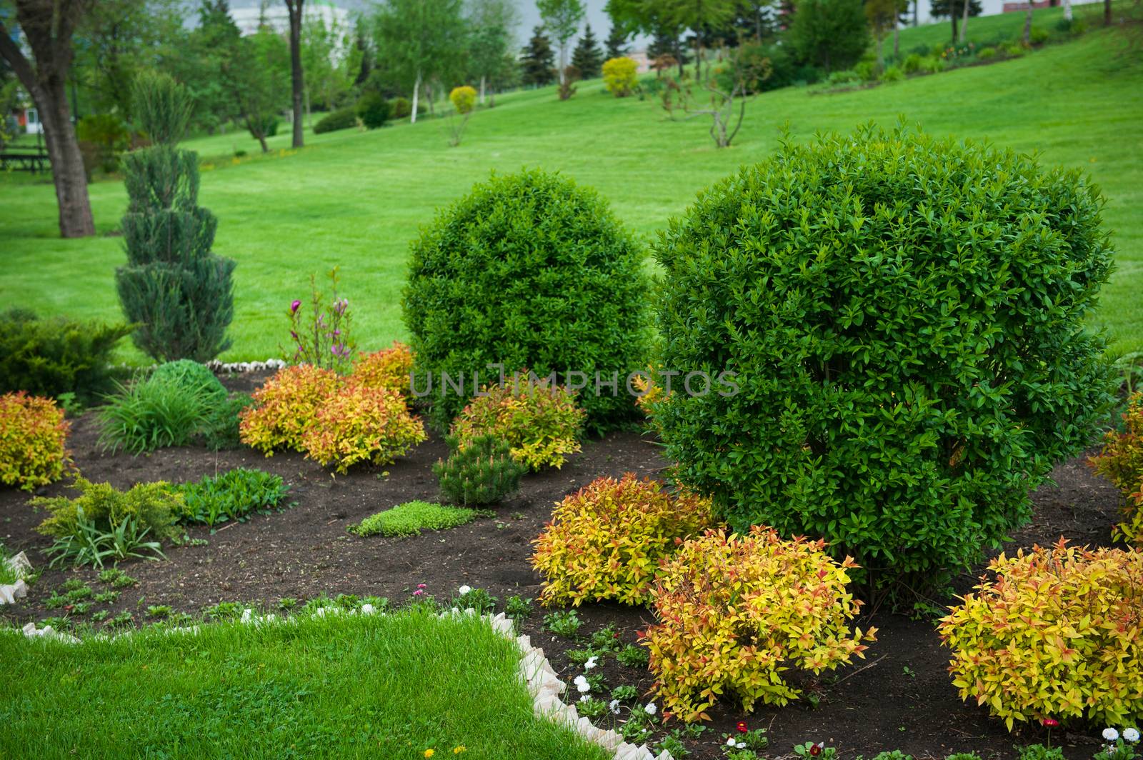 Peaceful Garden with a Freshly Mown Lawn.