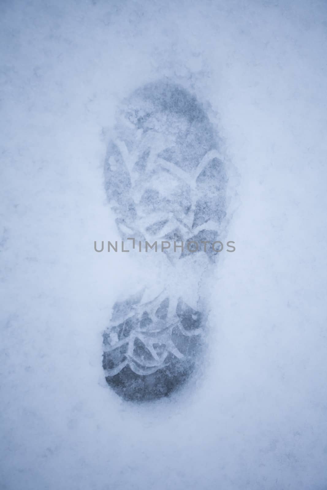 Footprint in the snow by MC2000