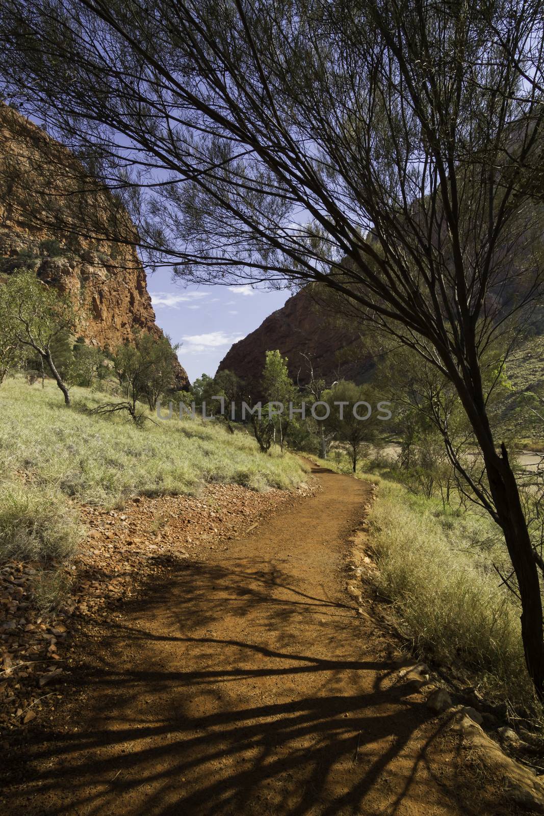 This photo was shot from Alice Springs which located in Northern Terrritory, Australia. This is the dry area of Australia. There are many of Aboriginals stay there.