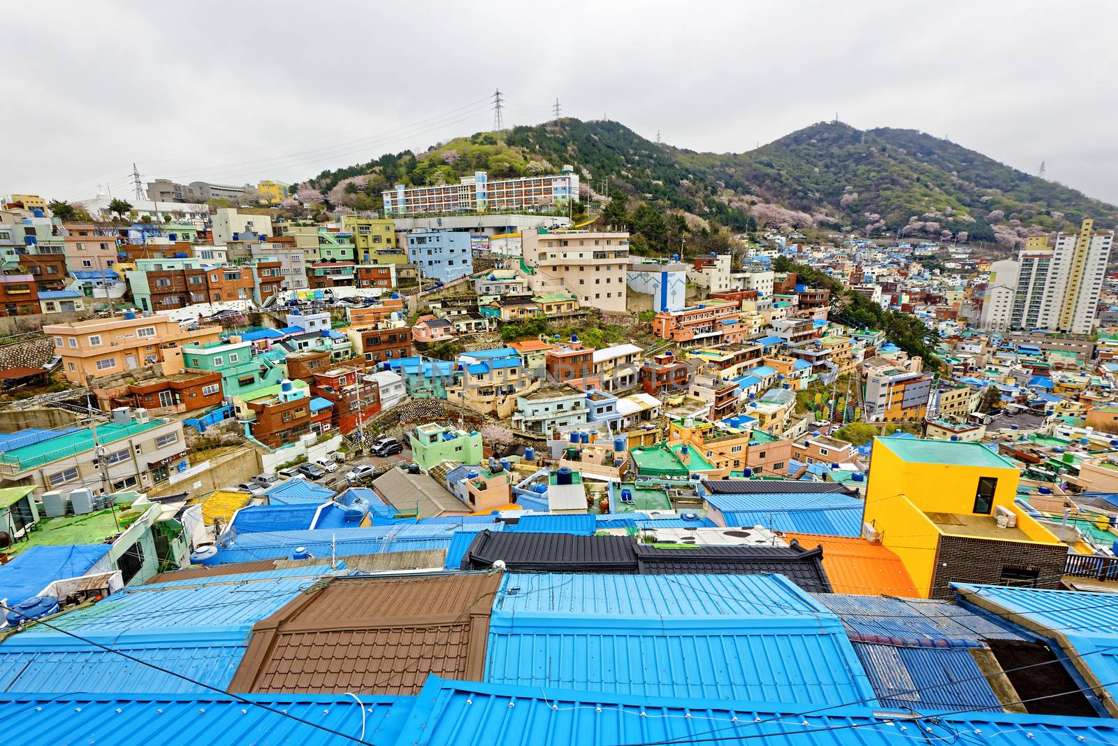 Gamcheon Culture Village, Busan, South Korea.