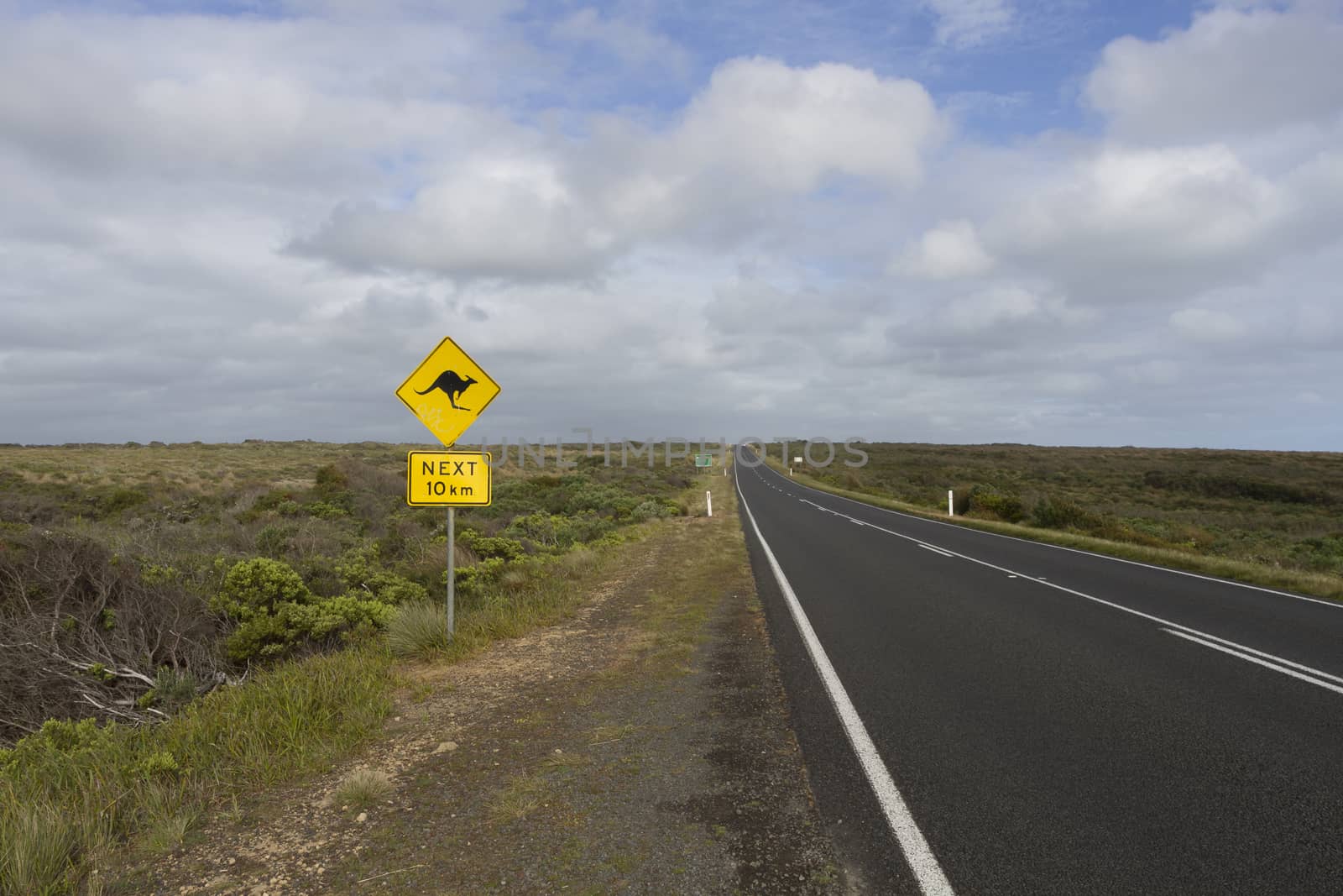 This photo was shot from Twelve Apostles which is on the Great Ocean Road, Australia.