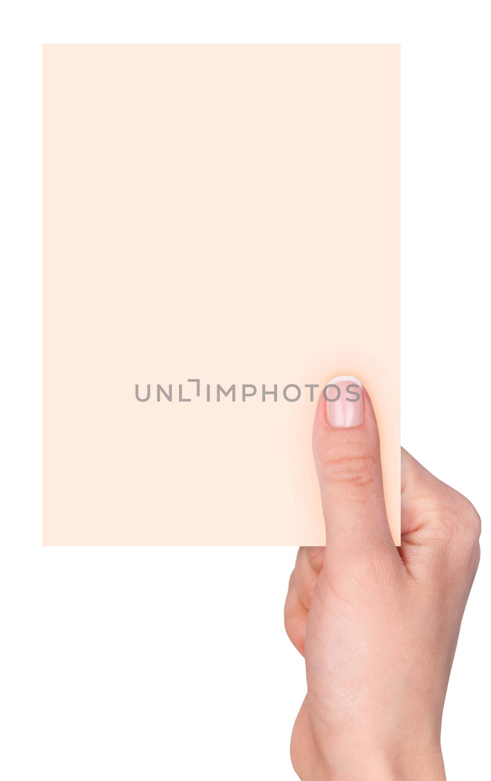 Women's fingers holding a blank business card isolated on white background 