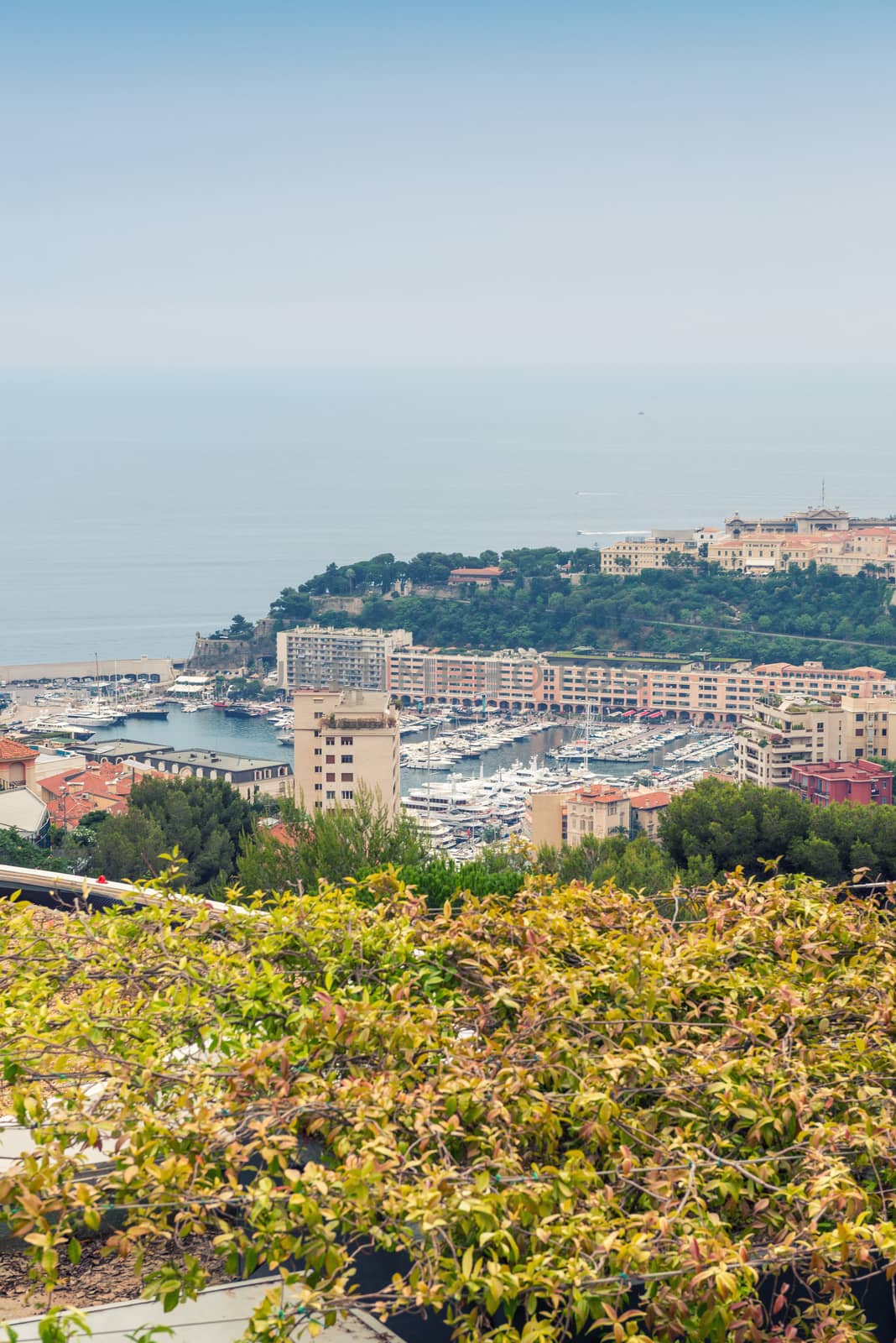 Buildings of Monte Carlo - Monaco, France by jovannig