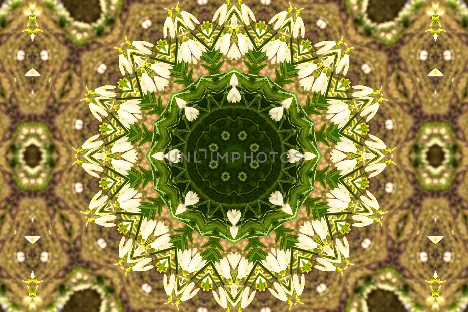 kaleidoscopic flower pattern background of white snowdrops