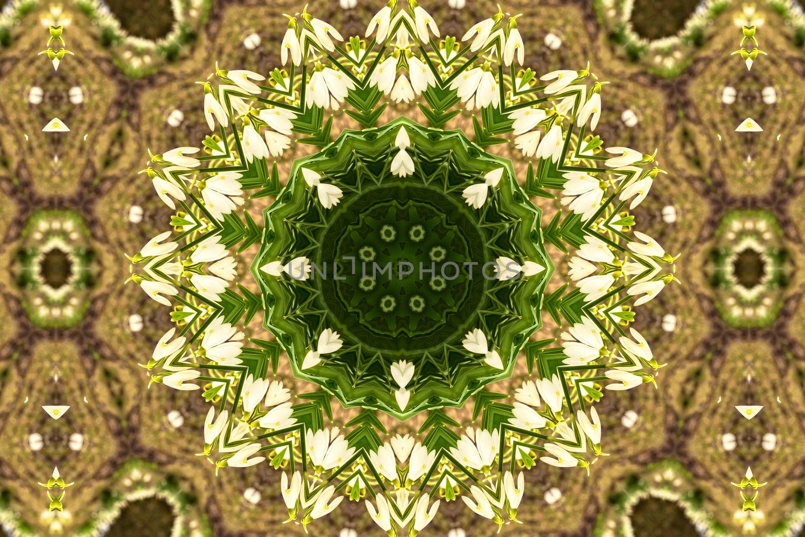 kaleidoscopic flower pattern background of white snowdrops