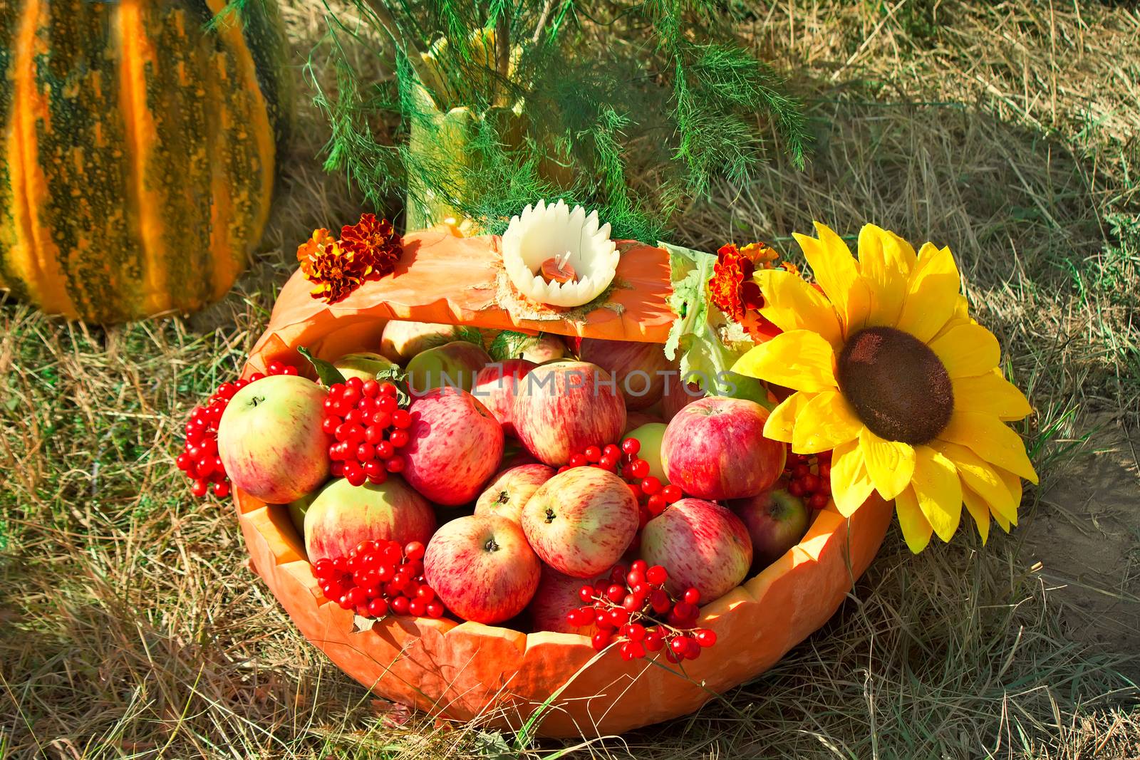 Large ripe apples are in a wattled basket sold at the fair.