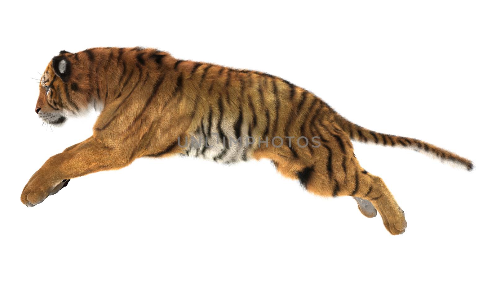 3D digital render of a tiger jumping isolated on white background