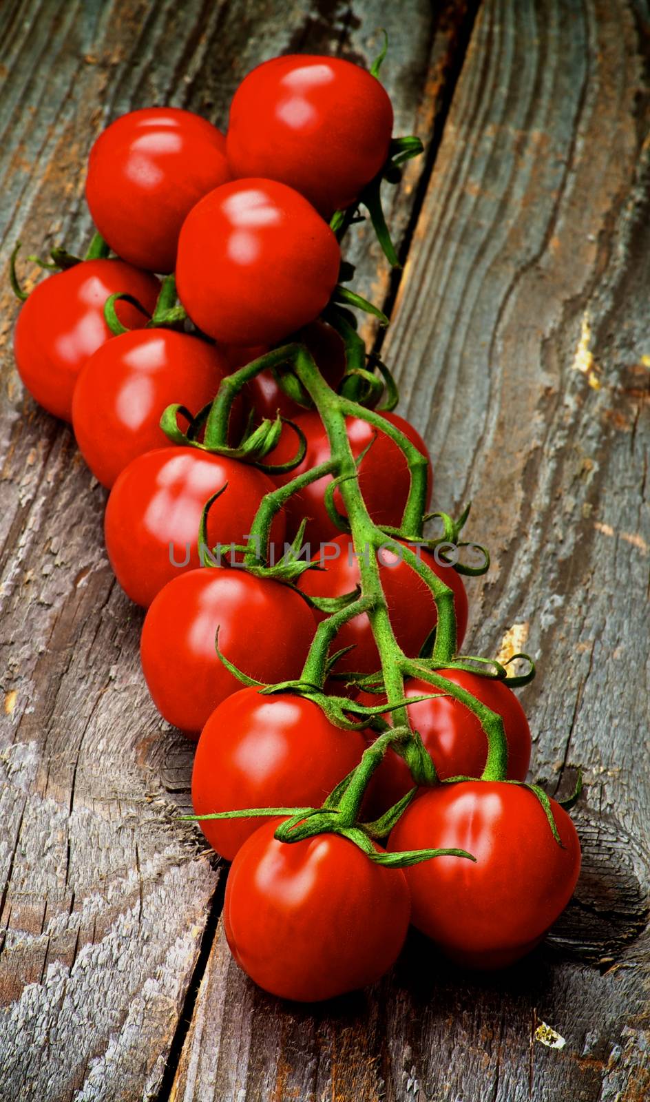 Perfect Ripe Cherry Tomatoes on Stem closeup on Rustic Wooden background