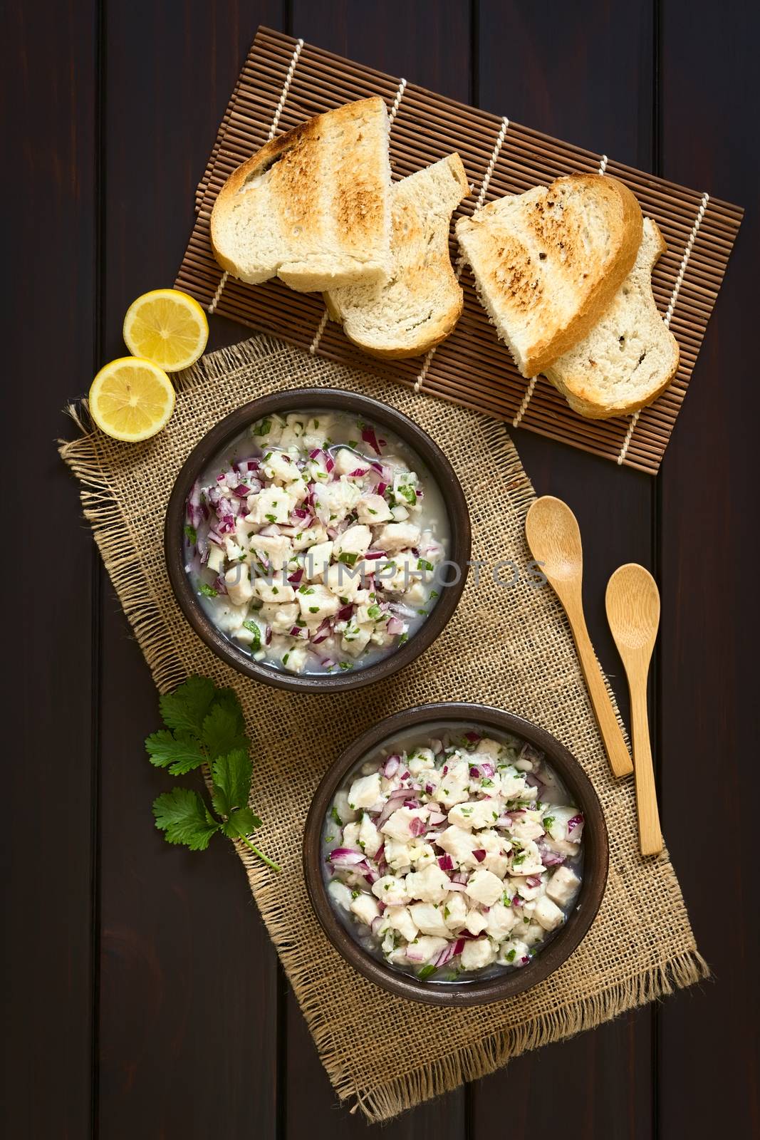 Chilean Ceviche made of Southern Ray's bream fish (lat. Brama Australis, Spanish Reineta), onion, garlic and cilantro marinated in lemon juice, accompanied by toasted bread. Photographed overhead on dark wood with natural light.