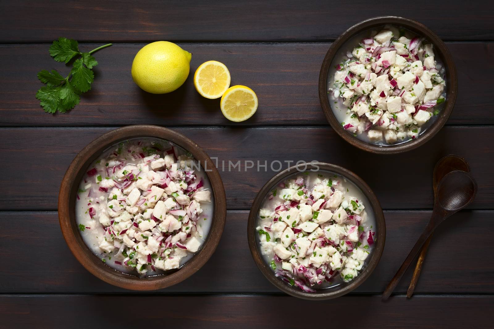 Chilean Ceviche made of Southern Ray's bream fish (lat. Brama Australis, Spanish Reineta), onion, garlic and cilantro marinated in lemon juice served in rustic bowls. Photographed overhead on dark wood with natural light.