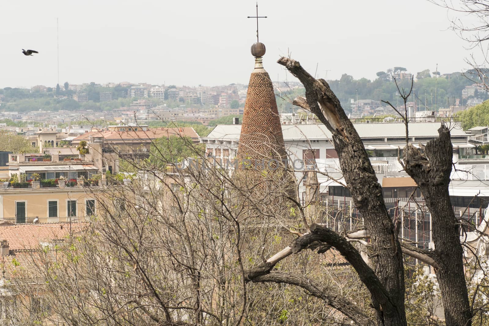 view of Rome from above