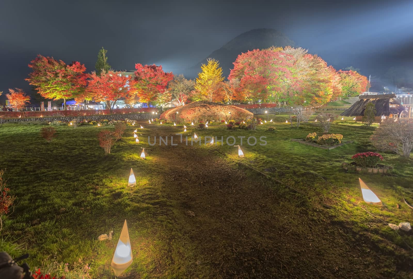 This photo was shot from the area around Mt.Fuji. The Momiji or Maple will light up at night. This is called maple corridor or maple tennel at Nashigawa river, Japan.