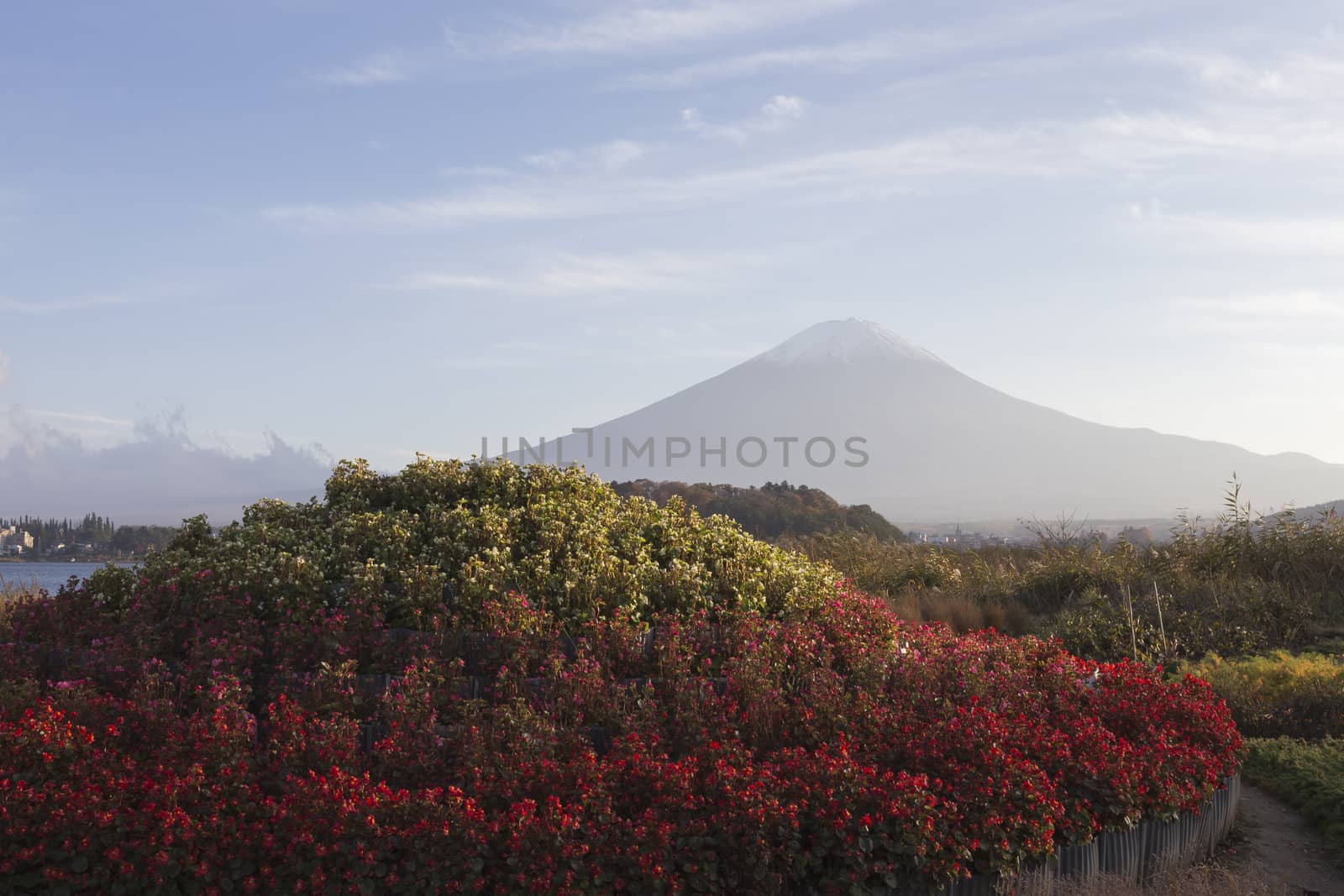 This photo was shot from the area around Mt.Fuji in Autumn. It is time to start snow cap on the top of Mt.Fuji. There are 5 lake around Mt.Fuji.
