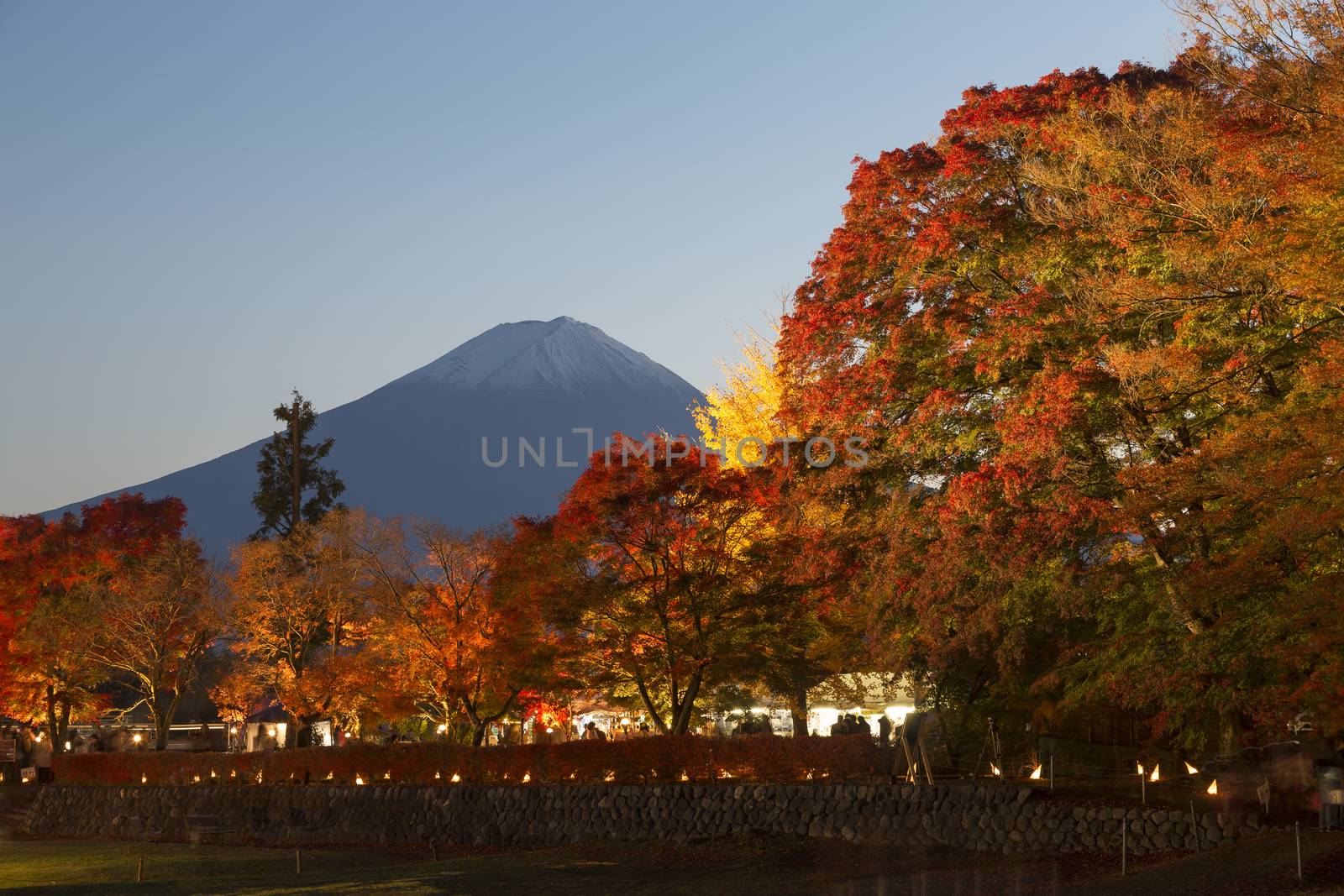 This photo was shot from the area around Mt.Fuji. The Momiji or Maple will light up at night. This is called maple corridor or maple tennel at Nashigawa river, Japan.