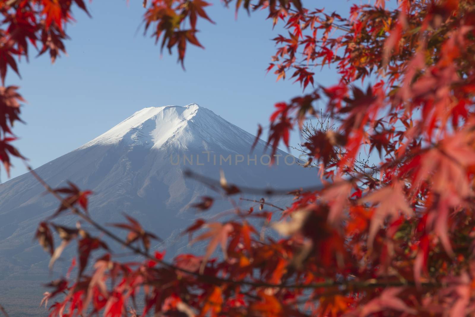 This photo was shot from the area around Mt.Fuji in Autumn. It is time to start snow cap on the top of Mt.Fuji. There are 5 lake around Mt.Fuji.