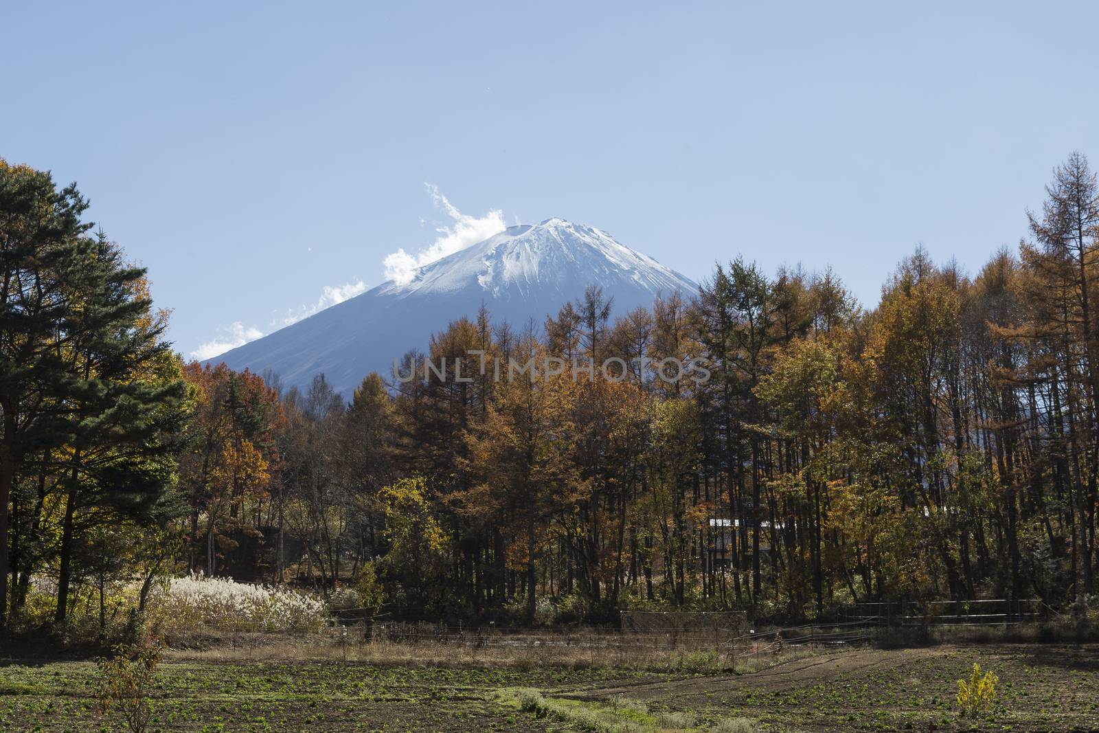This photo was shot from the area around Mt.Fuji in Autumn. It is time to start snow cap on the top of Mt.Fuji. There are 5 lake around Mt.Fuji.