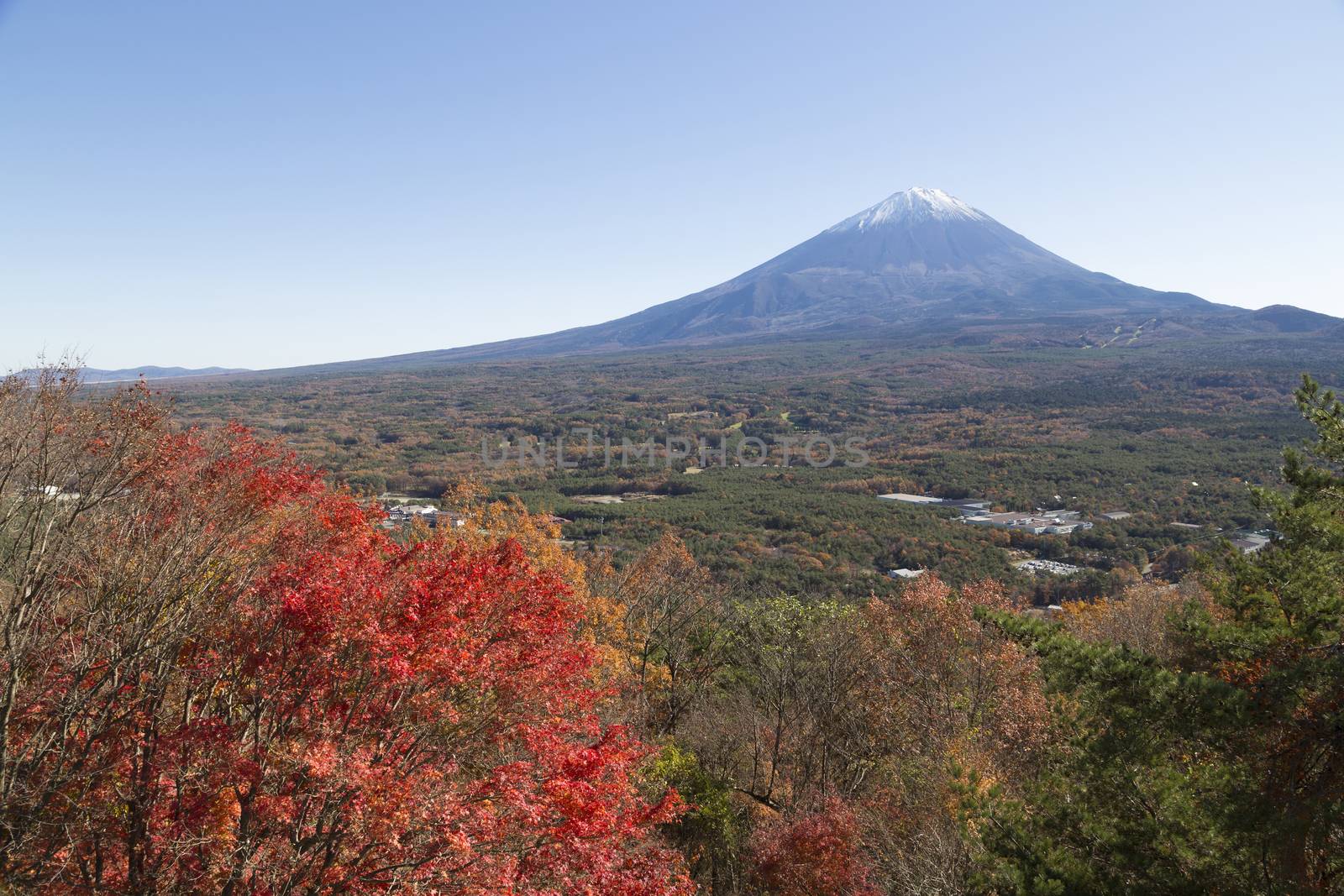 This photo was shot from the area around Mt.Fuji in Autumn. It is time to start snow cap on the top of Mt.Fuji. There are 5 lake around Mt.Fuji.